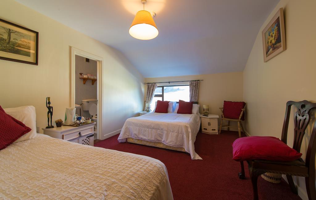 Carrick on Shannon Aisleigh Guest House מראה חיצוני תמונה